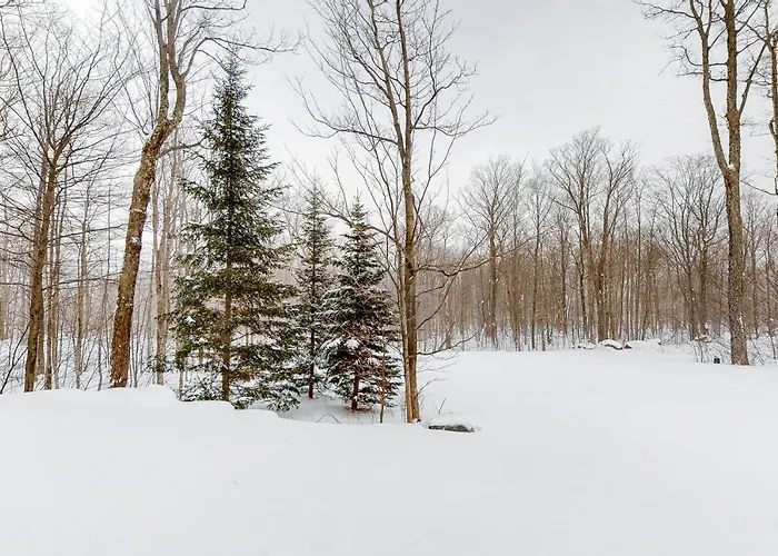 Jay Peak Village Home 367B